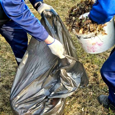 изображение_viber_2026-03-11_12-01-18-224